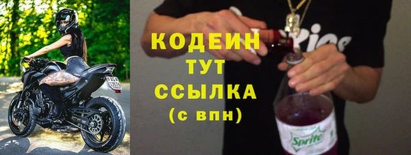 ешки Корсаков
