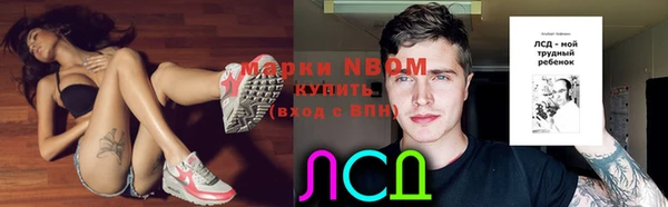 ешки Корсаков