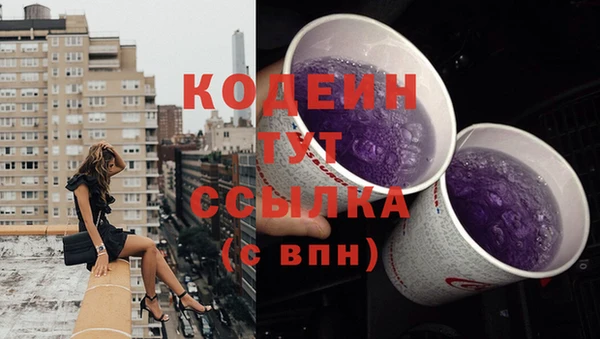 ешки Корсаков