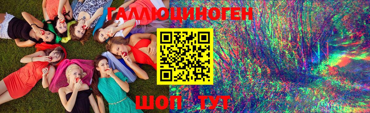 Псилоцибиновые грибы Cubensis Шали