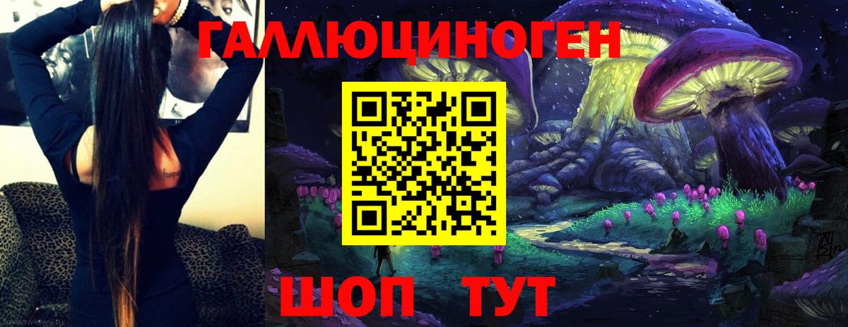 купить  сайты  Вход с VPN  Шали  Псилоцибиновые грибы MAGIC MUSHROOMS 
