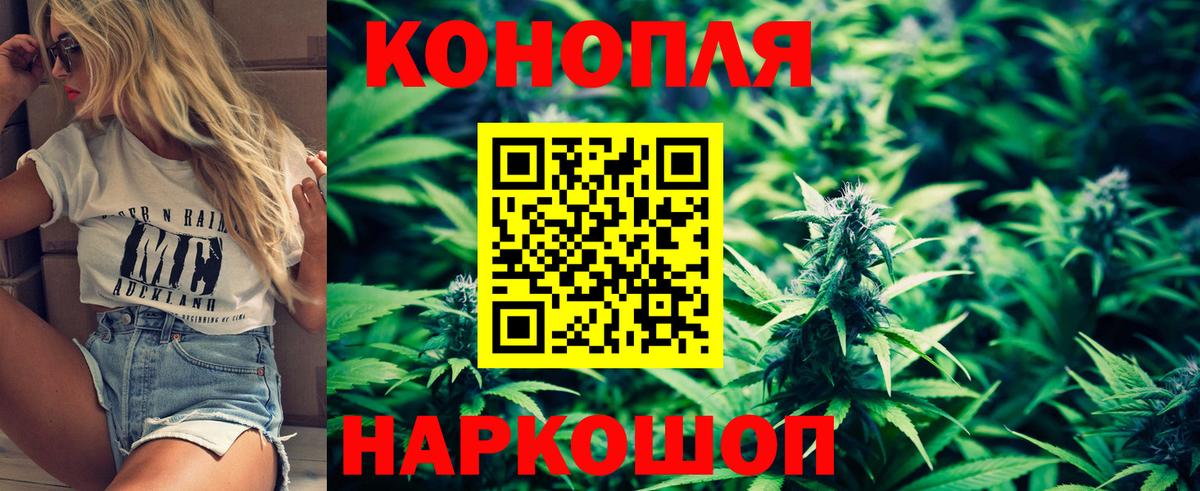 Бошки марихуана гибрид  Шали  Шишки марихуана конопля  Марихуана индика  Бошки марихуана AK-47 