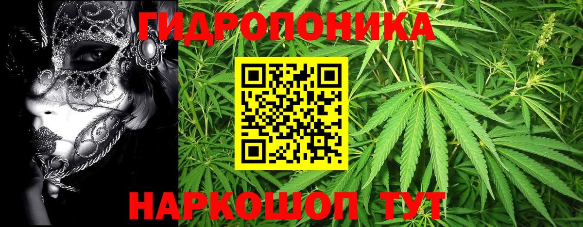 Бошки Шишки гибрид  Марихуана Amnesia  Каннабис ГИДРОПОН  Шали  Вход с VPN 